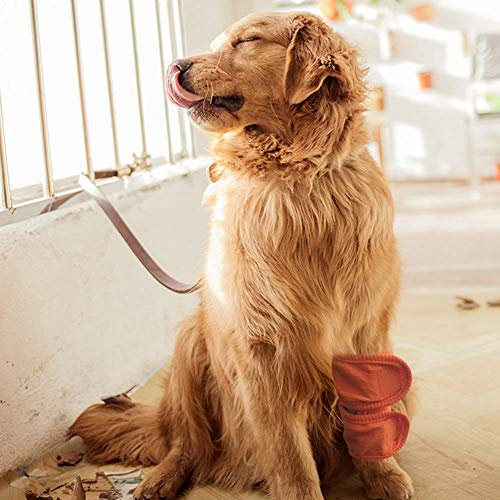 2 Stück Hunde- und Katzenbeine, Knieschützer, Chirurgische Wundgamaschen, Schutz, Postoperative Arthritis-Leggings für Hunde, Katzen, Haustiere, 2 Stück Haustierbeine, Brace