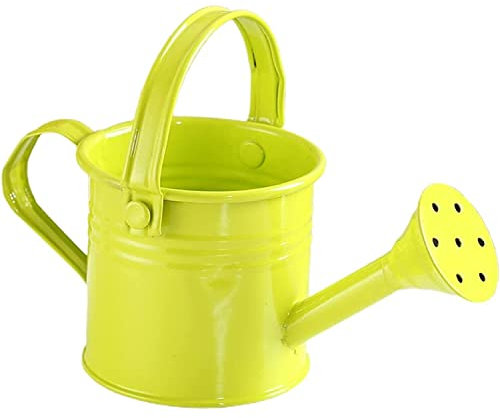 GTOULHH Arrosoir pour Plantes Interieur Arrosoir Pot Plante Arrosoir Pulvérisateur Portable Fer Forgé avec Poignée Outils De Jardinage Métal Saupoudrer Douche Plantes en Pot Arrosoir(A)