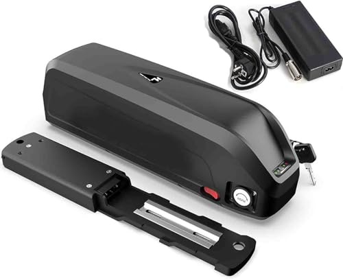 Ebike Akku 48V 20AH Eingebaute Elektrofahrrad Batterie 48V 20AH eingebauter BMS mit Ladegerät 48V 20000MAH Fahrrad-Batterien für 1000W 750W 500W 350W 200W Motor