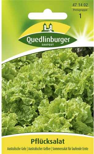 Pflücksalat, Australische Gele