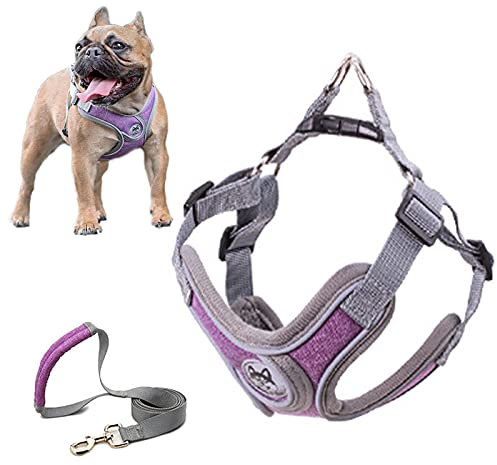 SKXEO Dog Harness Small Dog No Pull Dog Harness and Lead Set Adjustable Breathable Reflective Lightweight Pet Vest Harness Escape Proof Dog Harness Easy Control for Outdoor Walking Training