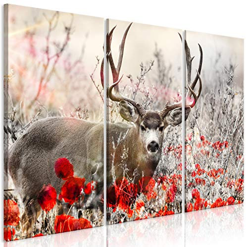 murando - Akustikbild Hirsch Bilder Akustikschaum Hochleistungsschallabsorber Schallschutz Leinwand 3 tlg Wandbild Raumakustik Schalldämmung Tiere Deer Mohnblumen Feld g-C-0345-b-e