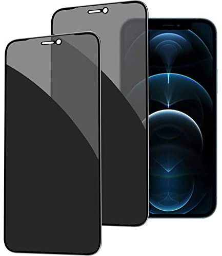 NWNK13 For iPhone 12 / iPhone 12 Pro Privacy Screen Protector Anti Spy Anti-Fingerprint Tempered Glass Screen Film 9H Hardness Anti Scratch