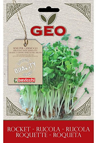 Geo Rucola Semi da Germoglio, Marrone, 12.7x0.7x20 cm