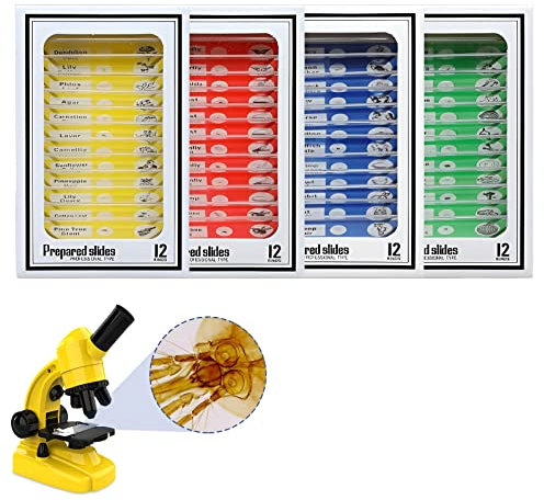 Ninyoon 48pcs Mikroskop Objektträger mit Proben für Kinder - Kinder präpariert Mikroskop Objektträger für Mikroskop, Tiere Insekten Pflanzen Blumen Proben