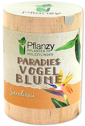 Feel Green Pflanzy Paradiesvogelblume, Nachhaltige Geschenkidee (100% Eco Friendly), Grow Your Own/Anzuchtset, Pflanzen im Holzzylinder, Made in Austria, Holz