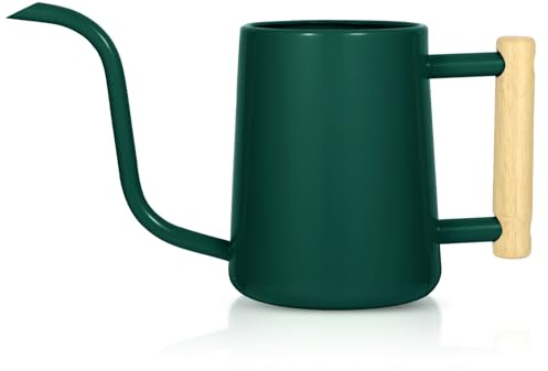 Gießkanne für Zimmerpflanzen, 1000 ml, Metall, Edelstahl, Gießkanne mit langem Auslauf für Zimmerpflanzen, Bonsai, Garten, Blumen, dekorativ, Alpinegreen