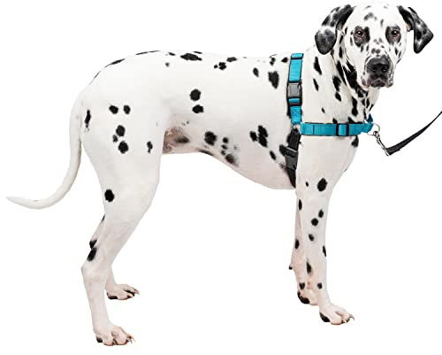 PetSafe Easy Walk Harness, No Pull Walking Harness For Dogs, Padded Design, Ocean Blue, Black Lead, Large