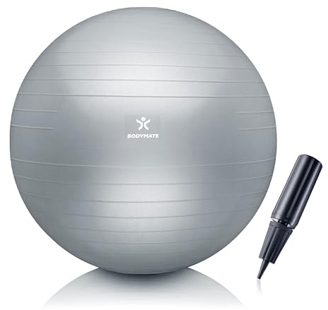 BODYMATE Palla da Ginnastica, Fitness, Yoga, Core Training con E-book GRATUITO e Pompa Argento 55cm