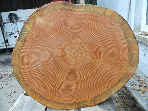 KJR Holzmanufaktur Baumscheibe, Holzscheibe,ca.50x8 cm, basteln, Holz, Douglasie, geschliffen und geölt