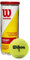 Wilson Tennisbälle Champ Extra Duty für alle Beläge, gelb, 3er Dose, WRT100101