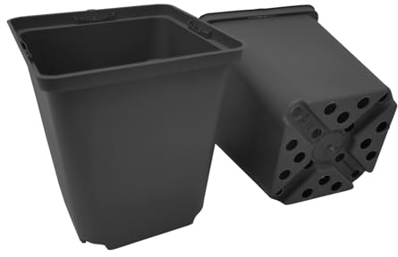 GREEN24 40 St. Pflanztöpfe 11x11x12cm Vierecktopf Profi Anzuchttopf Pflanztopf Blumentopf Vierkant-Töpfe (40, 11x11x12)