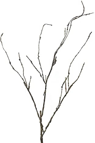 artplants.de Decorative branch Corkscrew willow LIFEN, brown, 3ft/95 cm - Artificial branch