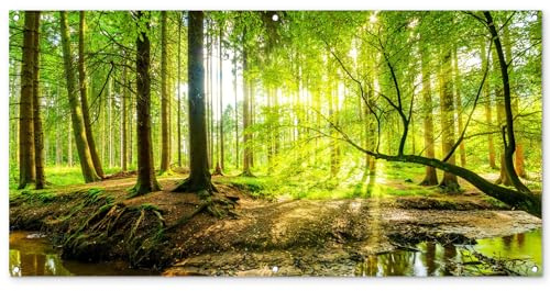 MuchoWow© Gartenposter Groß XXL Outdoor Bilder Gartendeko für draußen | 160x80 cm - Wetterfest Garten Deko Banner Gartendekoration Bild Wald - Landschaft - Wasser - Bäume - Sonne - Grün