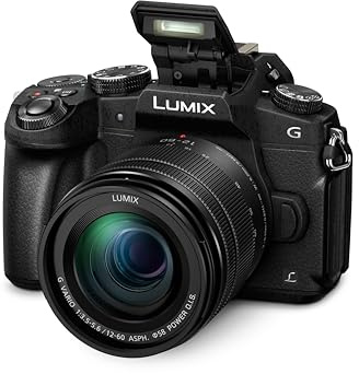 Panasonic LUMIX DMC-G80MEB-K Professional Camera with 12-60 mm Lens - Black (Renewed)