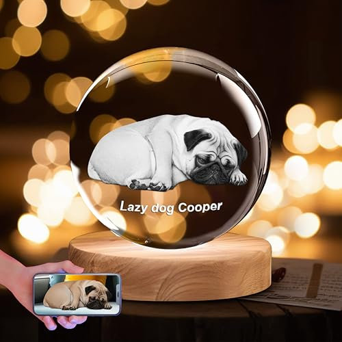PETMIMIXD Bola de cristal 3D personalizada - Regalo con foto grabada para animales, parejas y familias | Base LED de 4 opciones (madera, plástico)