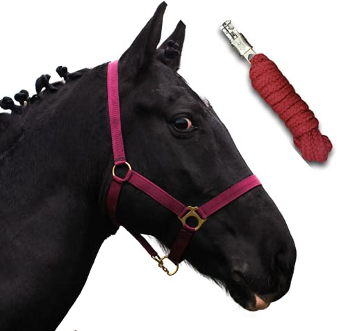 Halfter für Pferde mit Strick | Führstrick Pferd mit Halfter | Halfter Shetty, Pony, Vollblut, Full, X-Full mit Strick (Bordeaux, Cob)