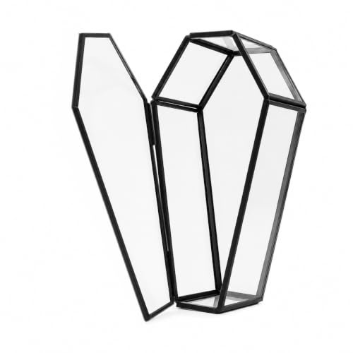 libproqia Kleine Sarg-Glas-Schmuckschatulle, schwarze Schmuckstücke, Glas, Sarg, Terrarium, Gothic, Halloween-Aufbewahrung, Vintage-Sarg, Vampir, Andenken, Organizer