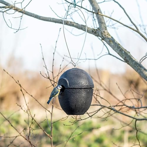 CJ Wildlife Nistkasten – Vogelnistkasten für draußen wetterfest – Holzbeton Schwarz – Nistkasten für Meisen, Kleiber und Feldsperlinge – 32 mm Einflugöffnung
