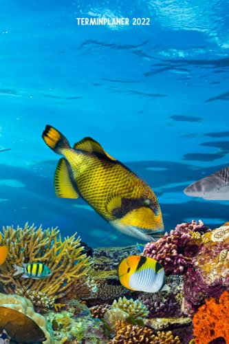 Terminplaner 2022: Aquarium Design Jahresplaner und Kalender von Januar bis Dezember 2022 mit Ferien, Feiertagen und Monatsübersicht - Organizer und Zeitplaner für 1 Jahr