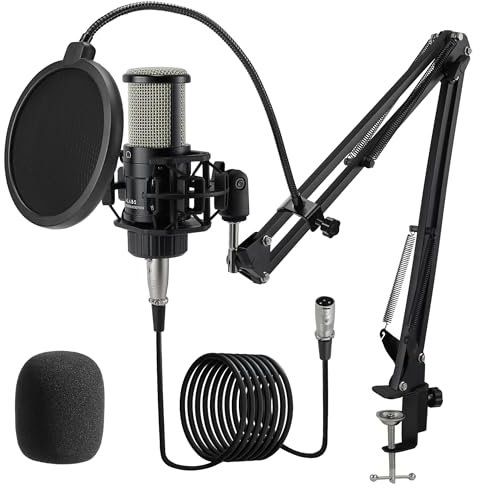 ALABS Microfono a condensatore XLR, kit microfono professionale per registrazione cardioide con diaframma da 25 mm per streaming, podcasting, canto, canto, microfono da studio con braccio a braccio,
