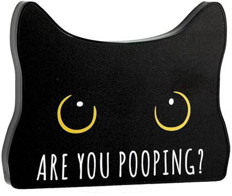 AstraGlam Divertente cartello da bagno in acrilico, Are You Pooping con gatto nero – Decorazione per il bagno, decorazioni per casa e bagno, regalo per amanti dei gatti donne e uomini