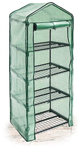 Relaxdays Serra Vivaio per Giardinaggio, 4 Ripiani, HLP 158x70x50 cm, Accessorio Giardinaggio sul Balcone, Verde