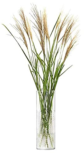 LSA International Wicker Vase H40cm Klar