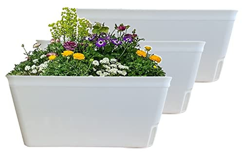 Olly & Rose Lazy Planters – Macetas de riego automático – Paquete de 3 – Macetas de autorriego Blanco Mate (Blanco)