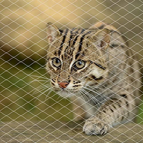 JUMXSRLE Cat Netting Balcony, UV & Weather-Resistant Cat Balcony Safety Net, Transparent Nylon Pet Mesh Fence Cat Netting for Patio, Balcony, Rail, Stairs, Terraces - 10x13ft