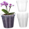 Totority 10 Macetas Transparentes para Phalaenopsis Orquídeas Viveros Orquídeas Plántulas Plástico PVC Transparente