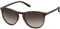 Polaroid PLD 6003, Occhiali da Sole Unisex - Adulto, Marrone (Havana), 54