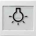 Gira 021603 Wippe abtastbar BSF Symbol Licht System 55, reinweiß