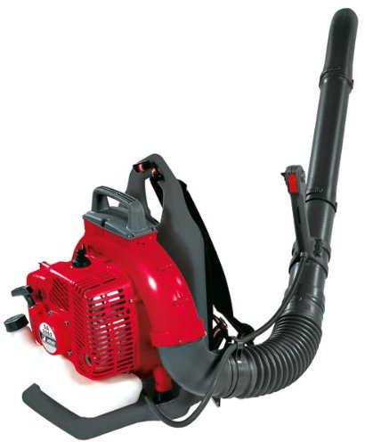 Efco SA 2062 - Soffiatore a benzina a zaino, 61cc