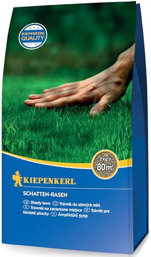 Kiepenkerl Schatten-Rasensamen 651500, 2 kg - Schattenrasen mit guter Schattentoleranz, schnelle Keimung, Rasensamen für robuste, tiefgrüne Rasenfläche, Rasensaat schnellkeimend
