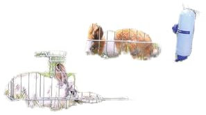 Trixie 6250 natura Freilaufgehege, verzinkt, ø 126 × 58 cm