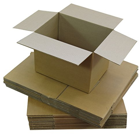 Triplast 305 x 229 x 127mm Medium Single Wall 12x9x5 Shipping Mailing Postal Cardboard Boxes (Pack of 10)