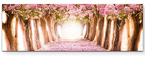 Leinwandbilder | Bilder Leinwand 150x50cm Allee aus rosa Blüten