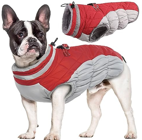 Hjumarayan Hundemantel für Kleine Mittelgroße Grosse Hunde, Hundejacke Warme Hundeweste Wintermantel Hund Wasserdicht Hunde Mantel Gefüttert, Hundemantel Französische Bulldogge (Rot L)