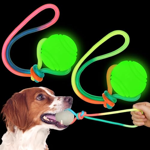 Trainingsball für Hunde, leuchtet im Dunkeln, 6,9 cm, Spielzeug mit 30,5 cm langem Seil für kleine, große, mittelgroße Hunde, Leuchtend, interaktives Zugbelohnung, Apportierspielzeug, 2 Stück
