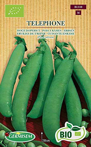 Germisem Biologico Telephone Semi di Piselli 80 g