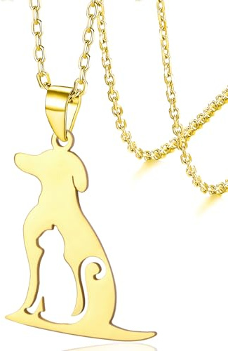 VASSAGO Halsband för hund och katt läckert rostfritt stål husdjursälskare djursmycken gåva för hund kattägare (guld)