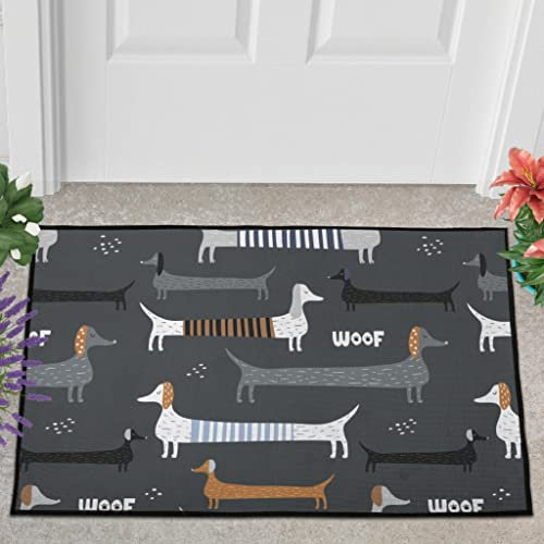 Veryday Dackel Hund Tiere Fußmatte Türmatte Eingangsmatte Fußabtreter Fußabstreifer Türvorleger Schmutzmatte Sauberlaufmatte Haustürmatte für Badezimmer White 40x60cm
