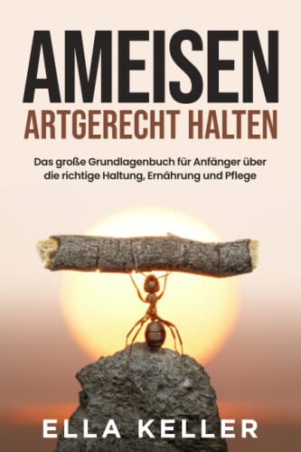 Ameisen artgerecht halten: Das große Grundlagenbuch für Anfänger über die richtige Haltung, Ernährung und Pflege