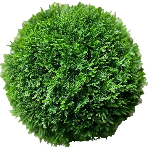 TENAX Leyla Bloom Ø 28 cm Grün, Kunstpflanze in Kugelform, Leyland-Zypressenblatt, Dekokugel für Haus- und Gartendekoration, Innen- und Außenbereich