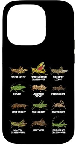 Tipi di cavallette e grilli Entomologia Educativa Custodia per iPhone 14 Pro