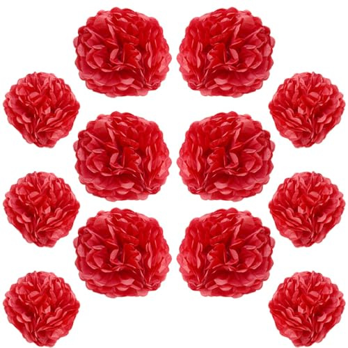 Ruidee 12 Stück Seidenpapier Pompoms 10in and 12in Papier Blumen Ball Dekorpapier Kit Papierblumen Pom Poms für Hochzeit,Geburtstage,Party Dekorationen (ZH/Red)