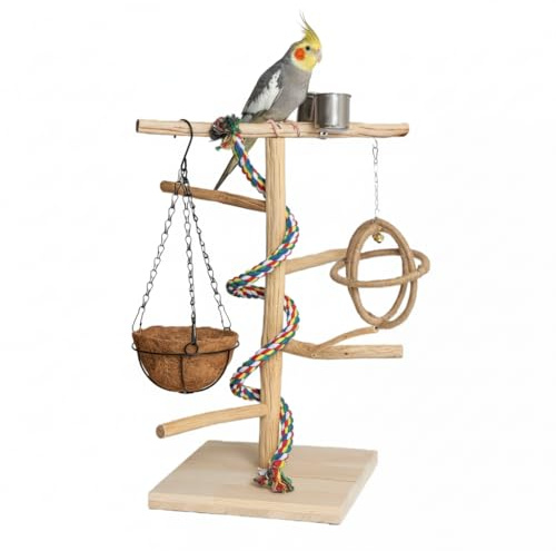 Vogel Sitzstangen, Vogelspielzeug, Naturholz-papageienständer mit Feeder-Cup, Schaukel, Nest, Papageien Vogelspielplatz und Ruhestation für mittelgroße Vögel, Nymphensittich, Mönchssittich, Großer Akt