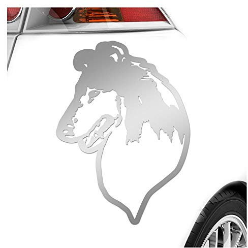 Kiwistar - Autoaufkleber - Collie Hund - Silber - 30x21cm - Aufkleber Auto, Laptop, Fahrrad, LKW, Motorrad mehrfarbig JDM Decal Racing