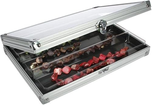 SAFE 5614 Alu-Vitrine 3 Fächer à 275 x 57 mm mit nutzbarer Höhe von 45 mm - 295 x 203 x 45 mm